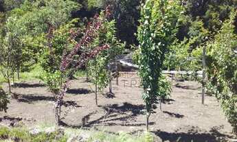 Imagem 4: Sítio no bairro Juá em São Francisco de Paula!