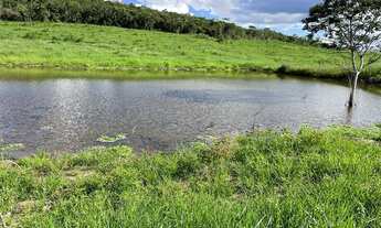 Imagem 4: Fazenda/Sítio/Chácara para venda com 4010000 metros quadrados com 2 quartos