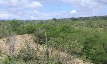 Imagem 4: Vendo 1 hectar de terras um pedaço do paraíso Solânea, Paraiba por R$ 20.000,00