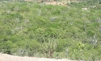 Imagem 2: Vendo 1 hectar de terras um pedaço do paraíso Solânea, Paraiba por R$ 20.000,00