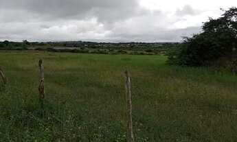 Imagem 3: Fazenda a venda Fazenda / sítio com venda por R$550.000