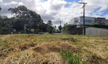 Imagem 2: Vilas do Bosque - Excelente Lote/Terreno 536,41m2