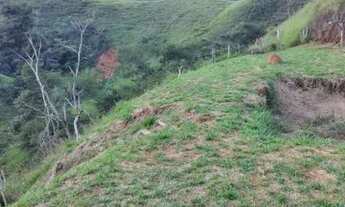 Imagem: Monteiro lobato