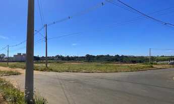 Imagem 3: 3 lotes misto ótimo jardim palmeiras 2 ibate