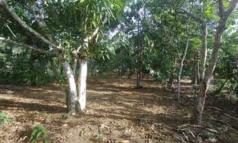 Imagem 4: /Lote em Açutuba com 800 m2