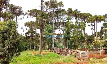 Imagem 11: Sítio à venda, 447700 m² por R$ 8.500.000,00 - São João Doeste - Cascavel/PR