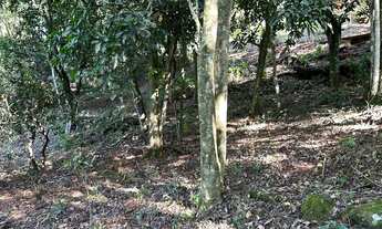 Imagem 5: Terreno Boa vista Da aparecida 5800m2