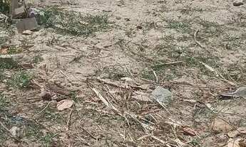 Imagem 2: Lote no curio Terreno / lote com venda por R$20.000