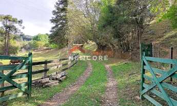 Imagem: Sítio em Cunha - Centro - Cunha/SP
