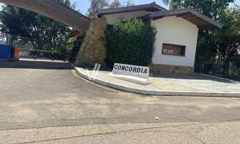 Imagem 7: Terreno - Chácara Bela Vista - Campinas