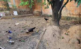 Imagem 7: CASA NO TAPANÃ EV