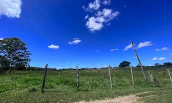 Imagem 7: FAZENDA A VENDA EM SÃO VICENTE - ARARUAMA