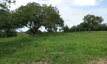 Imagem 3: Fazendinha a venda, em Goiás Velho - GO