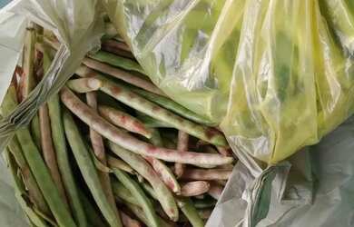 Imagem 5: Oportunidade única, excelente lote de 1.365m/2 neste lindo condomínio a 15 km de Feira de