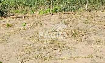 Imagem 5: Vende-se Chácara de 7 Hectares à 25 Km de Palmas, sentido Lajeado