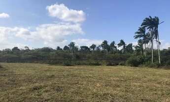 Imagem 2: Mini sítios em São Gonçalo dos Campos com 2.000m²