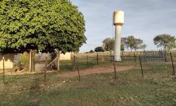 Imagem 4: CEDRAL (SP) Ótimo Sítio com 1,5 alqueires