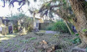 Imagem 5: Terreno para aluguel Pelotas