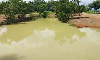 Imagem 6: Vende-se Fazenda 35 Alqueires em Barrolândia To