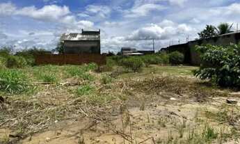 Imagem 2: Vendo Lote 12 x 30 quitado com 360 m² Park Amazônia - Rorainópolis/ murado nos fundos