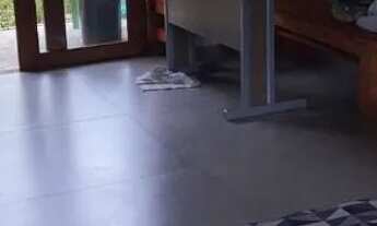 Imagem: Casa perto de pium