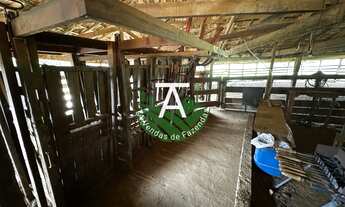 Imagem 7: Fazenda de 192 alq em Ipameri-GO