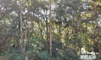 Imagem 6: Chácara com 1 dormitório à venda, 52000 m² por R$ 2.000.000,00 - Cachoeira - São José dos