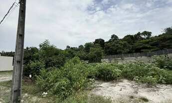 Imagem 5: TERRENO NO COND. MOSAICO PONTA NEGRA LOTE 10X25 QUITADO