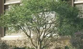 Imagem 4: Lindenberg Vista Alto de Pinheiros - Lindenberg Vista Alto de Pinheiros