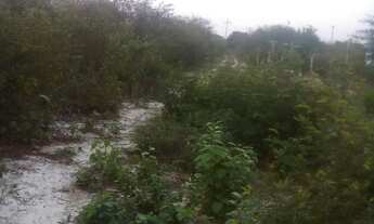 Imagem 5: Tarefa de terra Chácara com venda por R$20.000