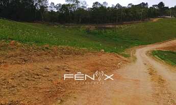 Imagem: Faça a escolha certa hoje