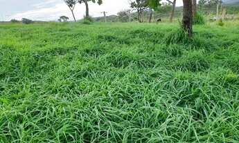 Imagem: Fazenda com Água Abundante em Cocalzinho-GO