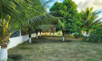 Imagem 7: Vendo chácara em Itaporanga