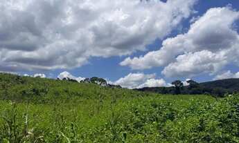 Imagem 7: Imóvel para venda tem 500 metros quadrados em Colégio - Ibiúna - SP