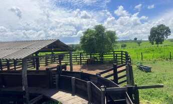 Imagem: Fazenda de 1.200 hectares sentido Cáceres