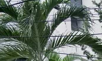 Imagem: ALUGO ÓTIMO FLAT MOBILIADO NO BAIRRO DE