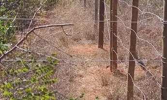 Imagem: Chácara terreno 8000m² trevo SJLAGOA