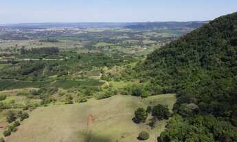 Imagem 4: Propiedadade 5 alqueires á 1 km rodovia Castelo Branco só terra