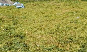 Imagem 2: Lote/Terreno para venda tem 200 metros quadrados em Solar Dos Lagos - São Lourenço - MG