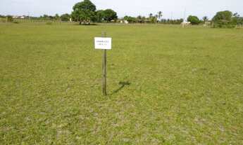 Imagem: Sítio à venda, 1250 m² por R$ 39.999,99