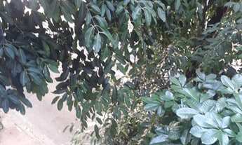 Imagem 3: Kitnet para aluguel, 1 quarto, Botafogo - Rio de Janeiro/RJ