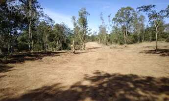 Imagem 5: Área de 2.500 metros documentada em Esmeraldas