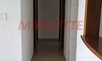 Imagem 5: Lindo apartamento em Mandaqui