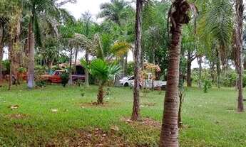 Imagem 3: Vendo chacara na Vargem Bonita, Senador Canedo