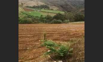 Imagem 4: Vendo terreno beira da br 381 urgente