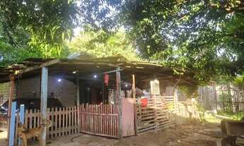 Imagem 3: Terreno com casa na vigia