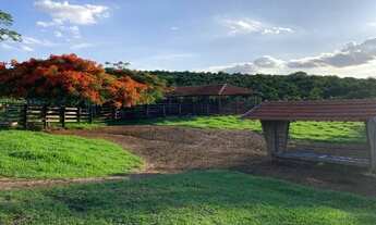 Imagem 4: Vende-se belíssima propriedade para lazer e renda á 5,5 km de distância da Rodovia Washing