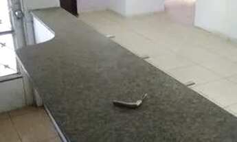 Imagem 4: Apartamento no setor central