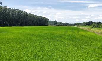 Imagem: Sítio á venda com 153.000m² (15,3 HA)