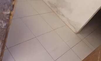 Imagem 5: Aluga se casa na fialho próximo a ponto de ônibus e mercado